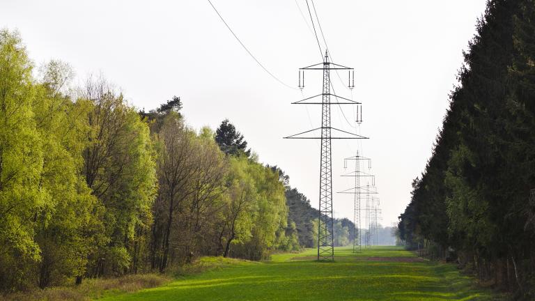 Electric transmission towers in a cleared path