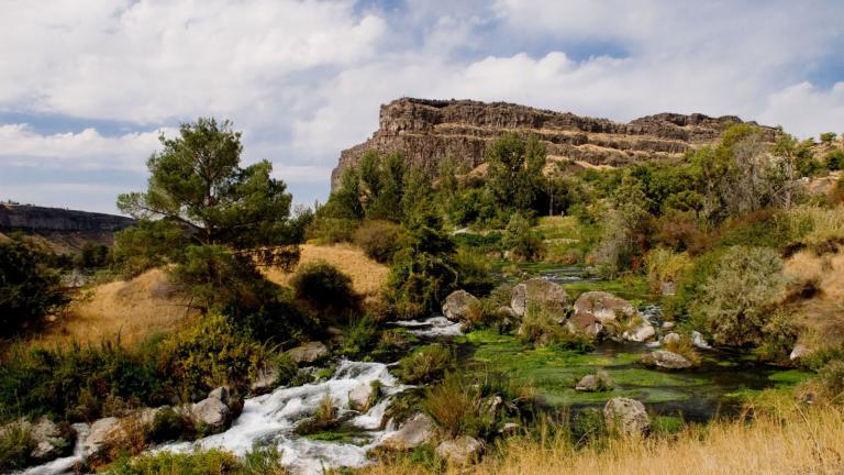 Landscape photo of hillside with trees and a running stream.