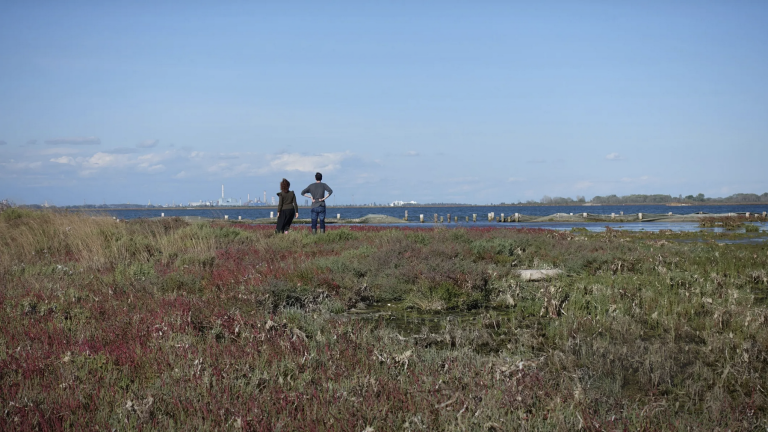 surveying Venice's central lagoon