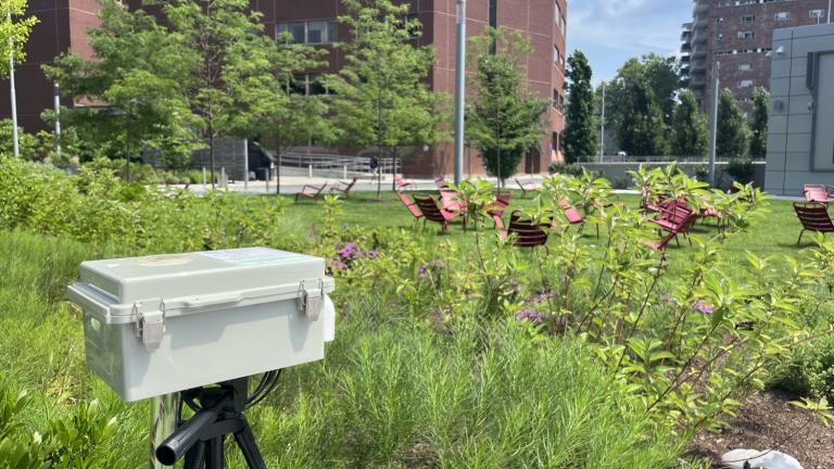 A heat sensor captures data in the Kendall/MIT Open Space. 