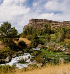 Landscape photo of hillside with trees and a running stream.