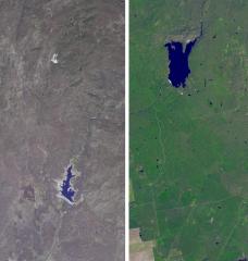 The effects of California’s severe multiyear drought are seen in this pair of images acquired by NASA Terra spacecraft of the area northeast of Madera, in the Sierra Nevada Mountains foothills between Yosemite National Park and the San Joaquin Valley, taken in 2011 (right) and 2014.