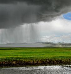 In the grassland steppes of Inner Asia, climate has a major impact on plant growth. Pastoral economies, which depend on grazing livestock like horse and sheep, are affected in turn.