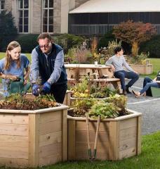 Norman Magnuson (second from left) worked closely with students in the development and maintenance of The Hive sustainability garden. 