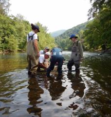 Students taking river samples in the Tennessee River