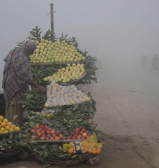 A street vendor stands behind a cart filled with fruit with a cloud of gray smog in the background.