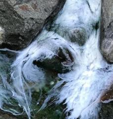 Bacterial biofilm in water between rocks