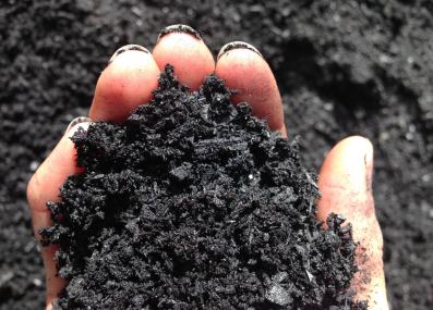 biochar